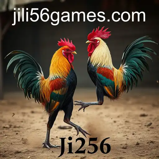 Security and Trust JiLi56 - International Licenses and Certifications